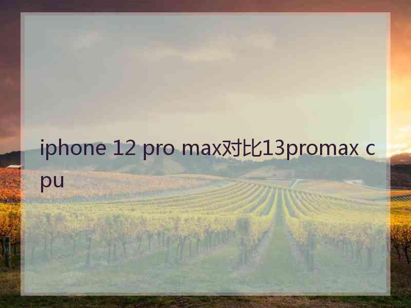 iphone 12 pro max对比13promax cpu