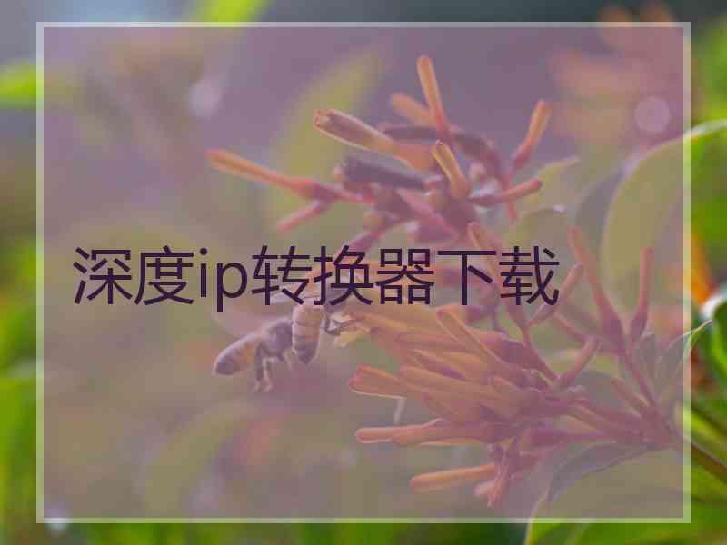 深度ip转换器下载