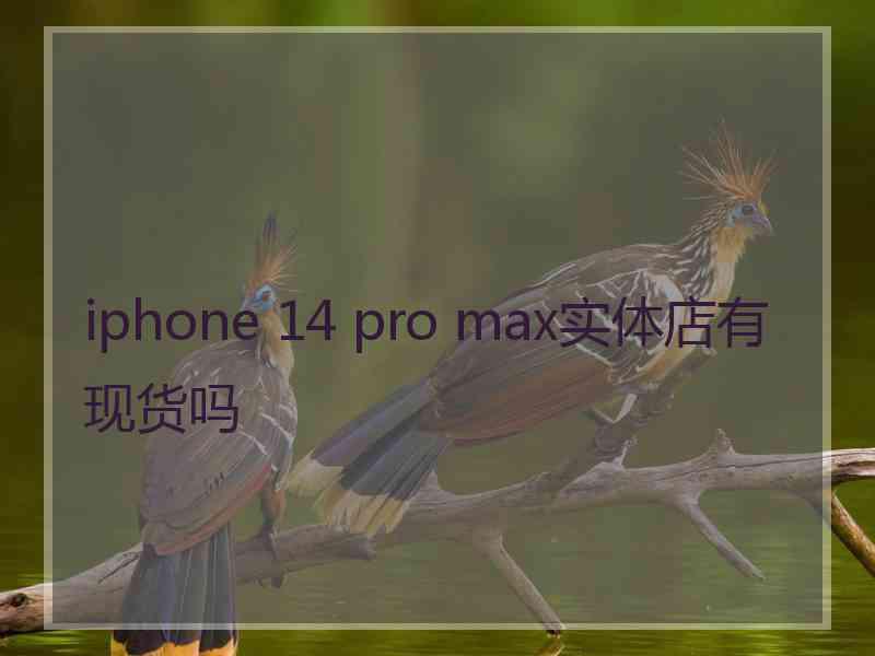 iphone 14 pro max实体店有现货吗