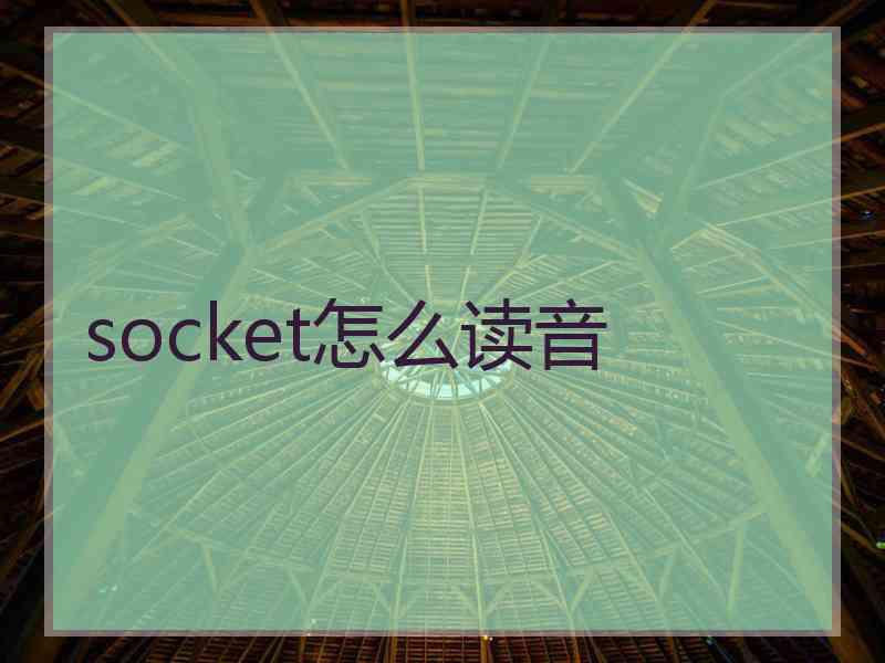 socket怎么读音