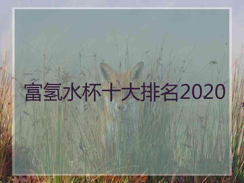 富氢水杯十大排名2020