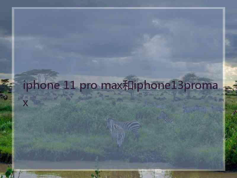 iphone 11 pro max和iphone13promax