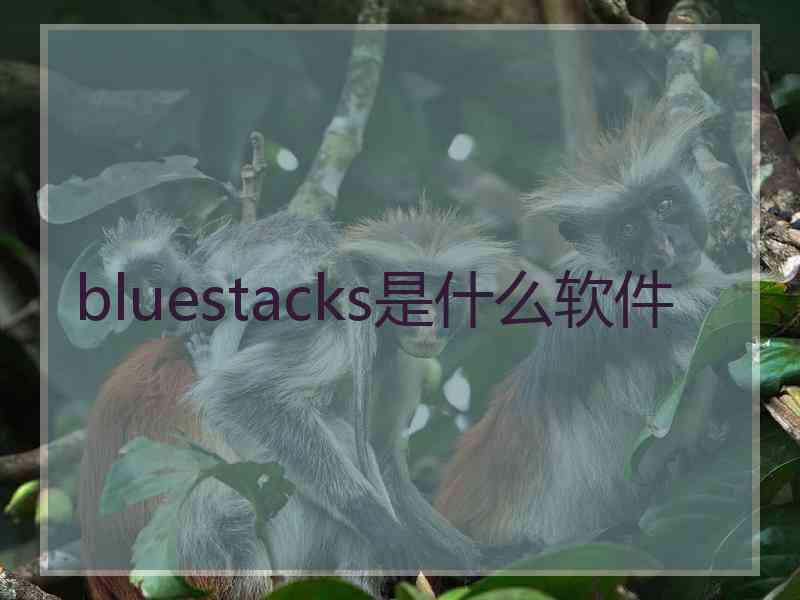 bluestacks是什么软件