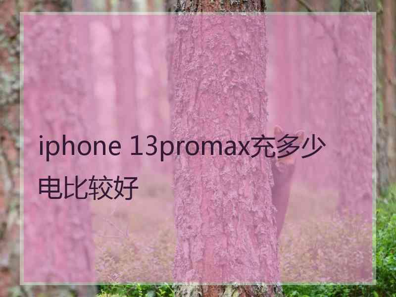 iphone 13promax充多少电比较好