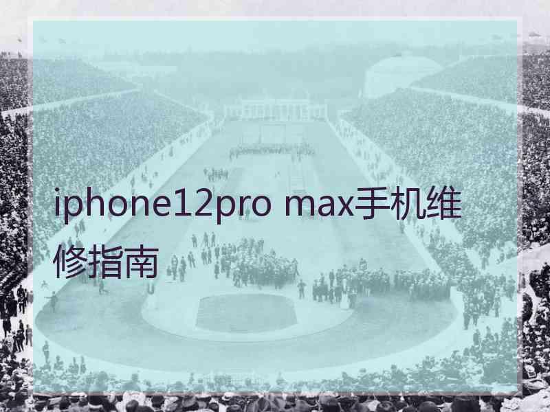 iphone12pro max手机维修指南