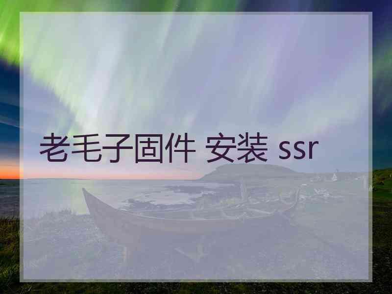 老毛子固件 安装 ssr