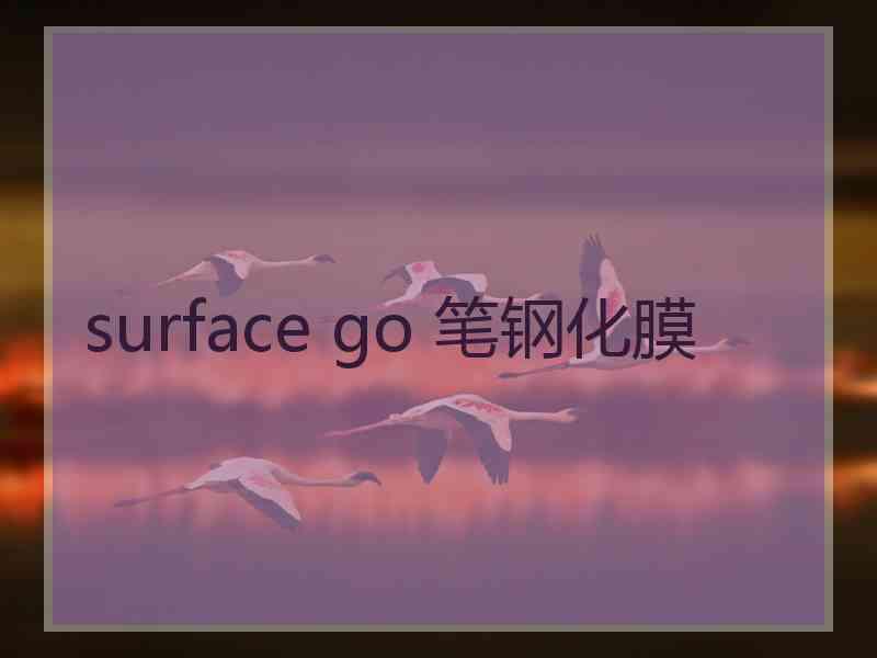 surface go 笔钢化膜