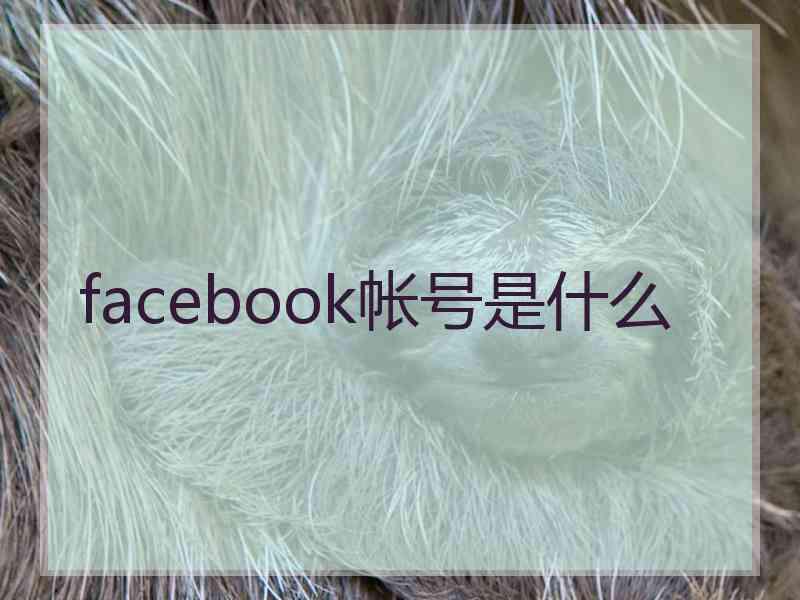 facebook帐号是什么