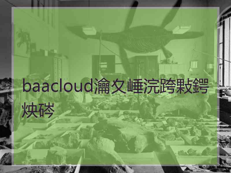 baacloud瀹夊崜浣跨敤鍔炴硶