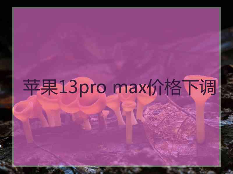 苹果13pro max价格下调