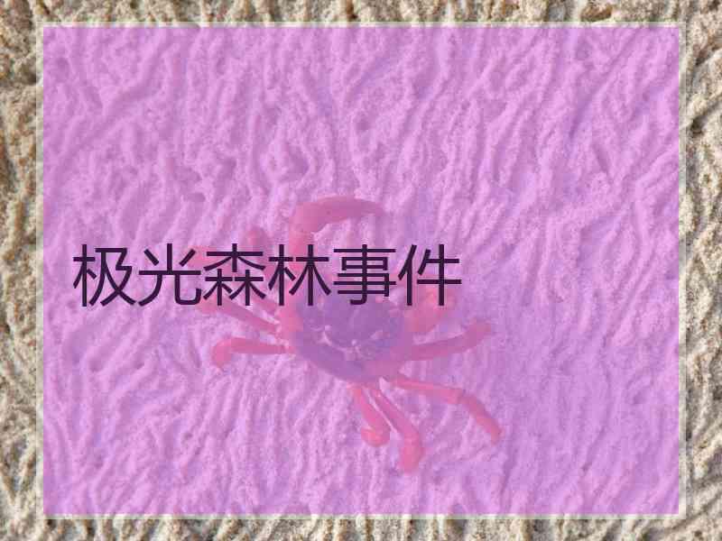 极光森林事件