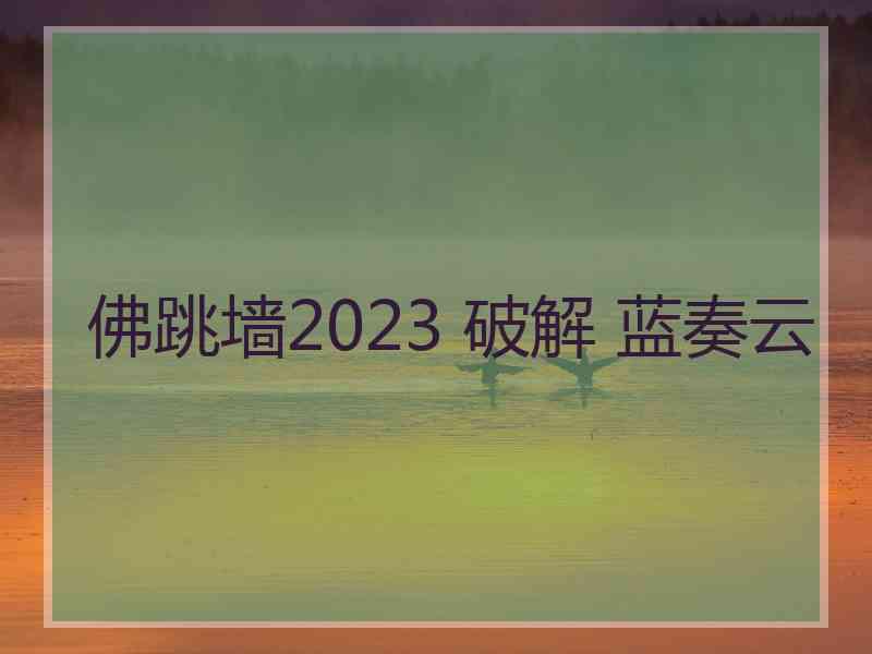 佛跳墙2023 破解 蓝奏云