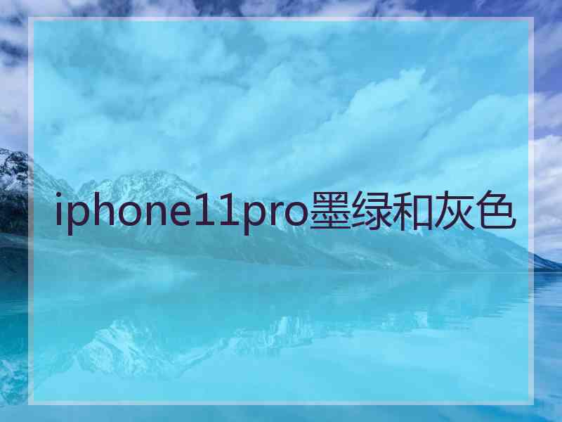 iphone11pro墨绿和灰色