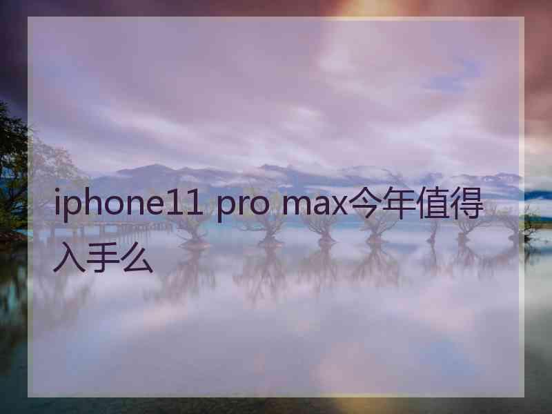 iphone11 pro max今年值得入手么