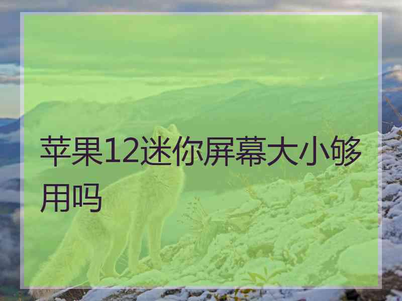 苹果12迷你屏幕大小够用吗