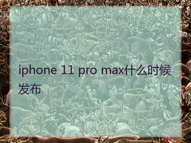 iphone 11 pro max什么时候发布