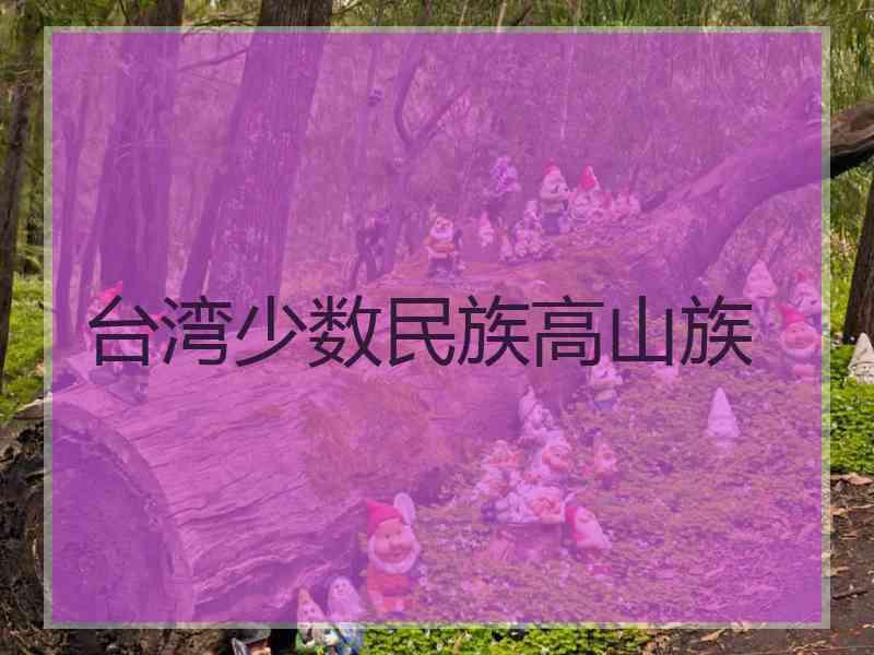 台湾少数民族高山族