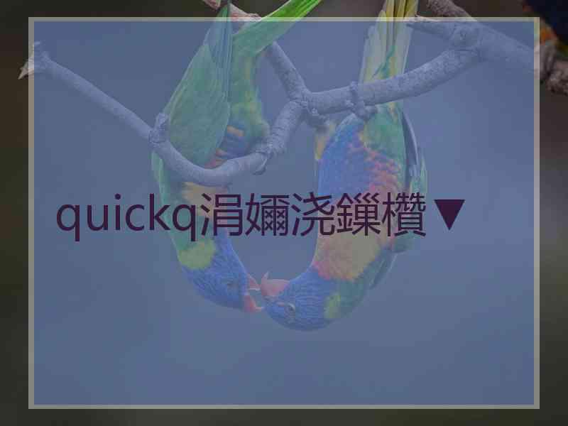 quickq涓嬭浇鏁欑▼