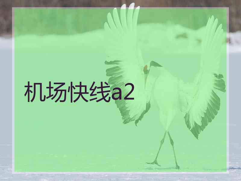 机场快线a2