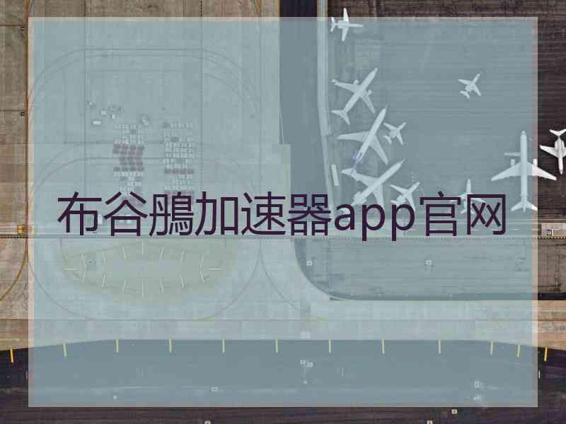 布谷鴅加速器app官网