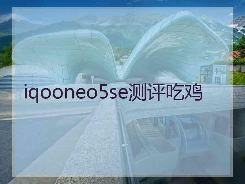 iqooneo5se测评吃鸡