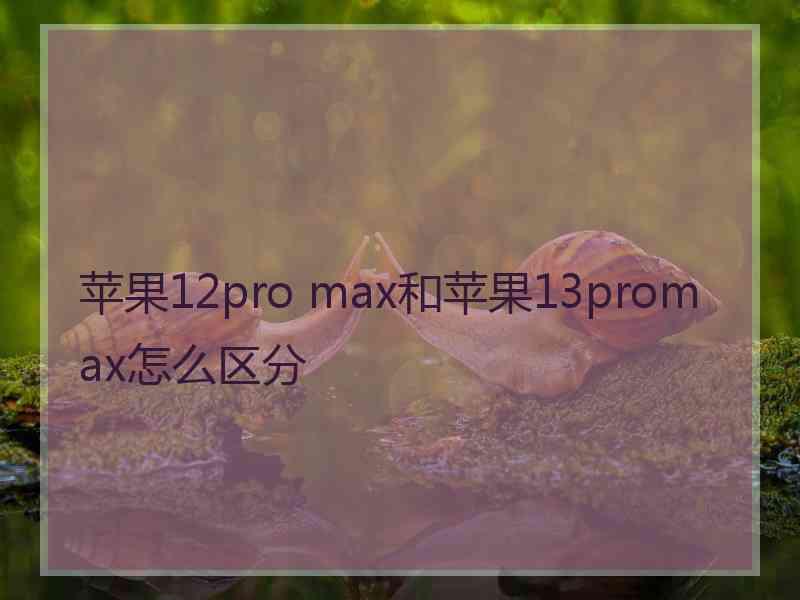 苹果12pro max和苹果13promax怎么区分