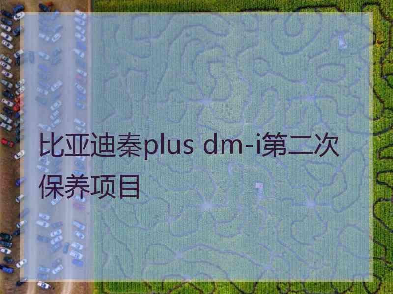 比亚迪秦plus dm-i第二次保养项目