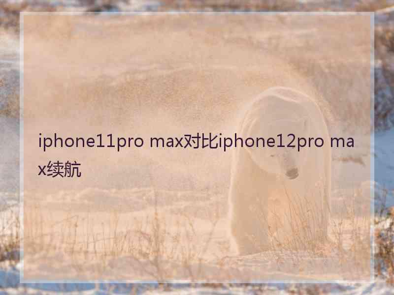 iphone11pro max对比iphone12pro max续航