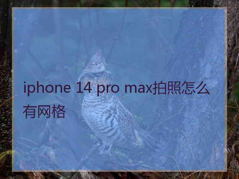 iphone 14 pro max拍照怎么有网格