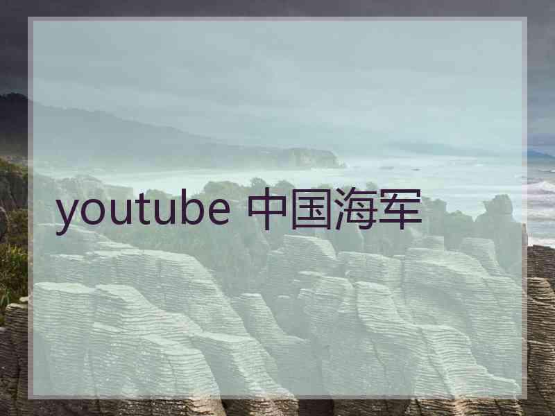 youtube 中国海军