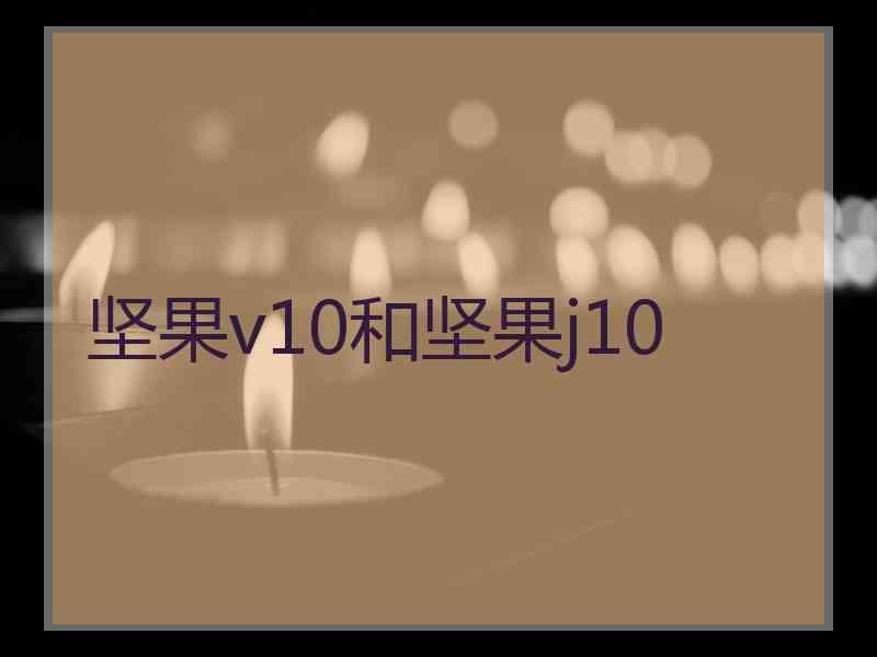 坚果v10和坚果j10