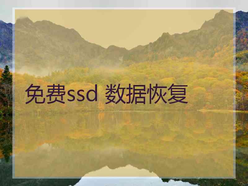 免费ssd 数据恢复