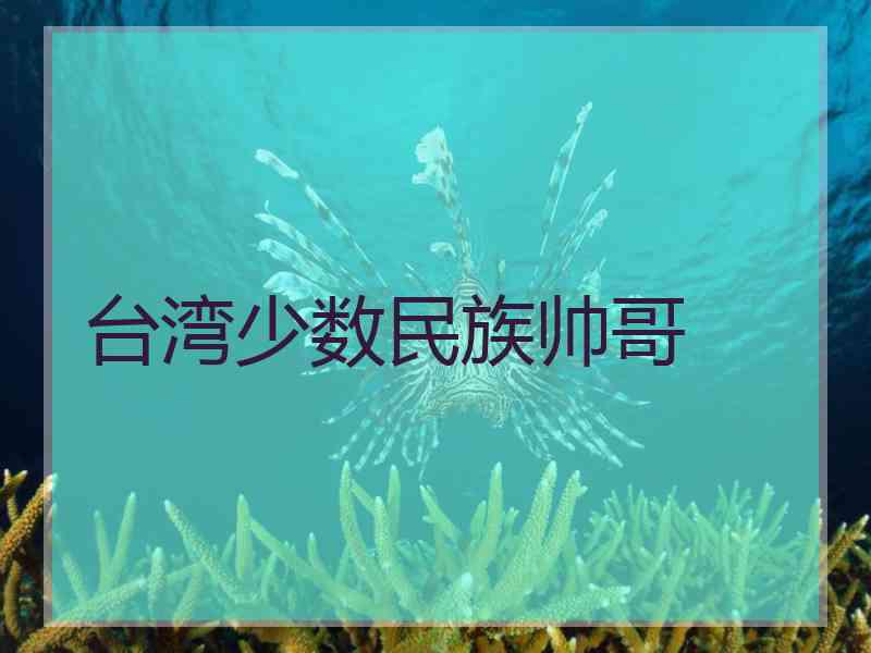 台湾少数民族帅哥