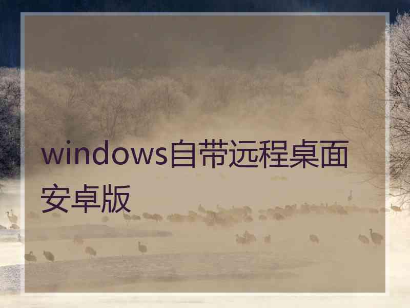 windows自带远程桌面安卓版