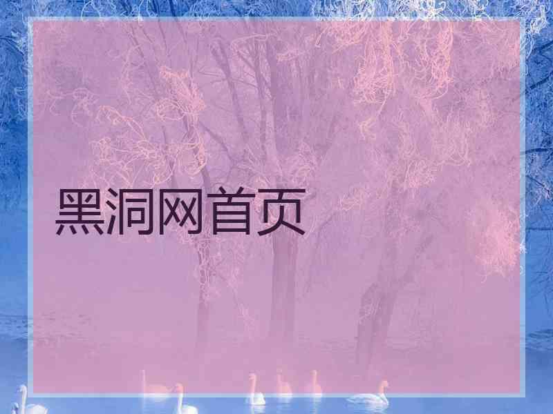 黑洞网首页