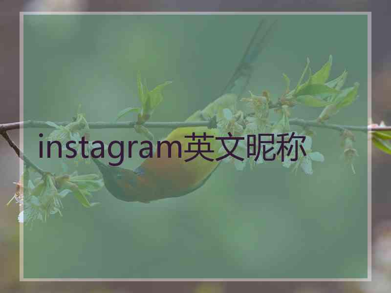 instagram英文昵称