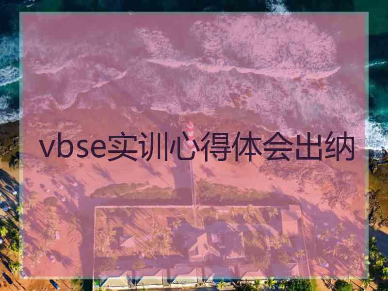 vbse实训心得体会出纳