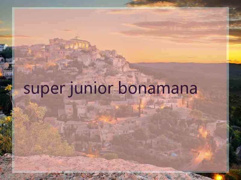 super junior bonamana