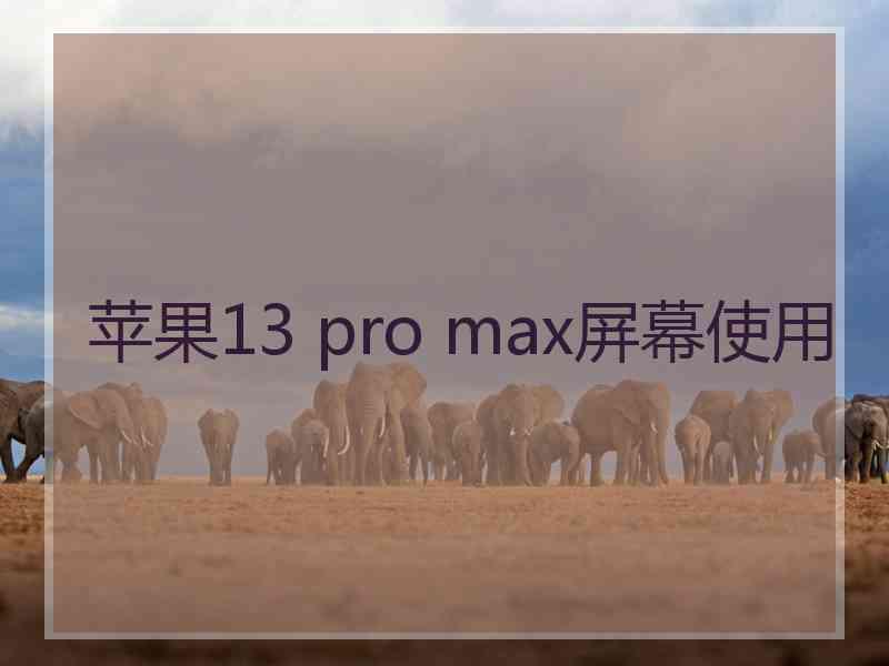 苹果13 pro max屏幕使用