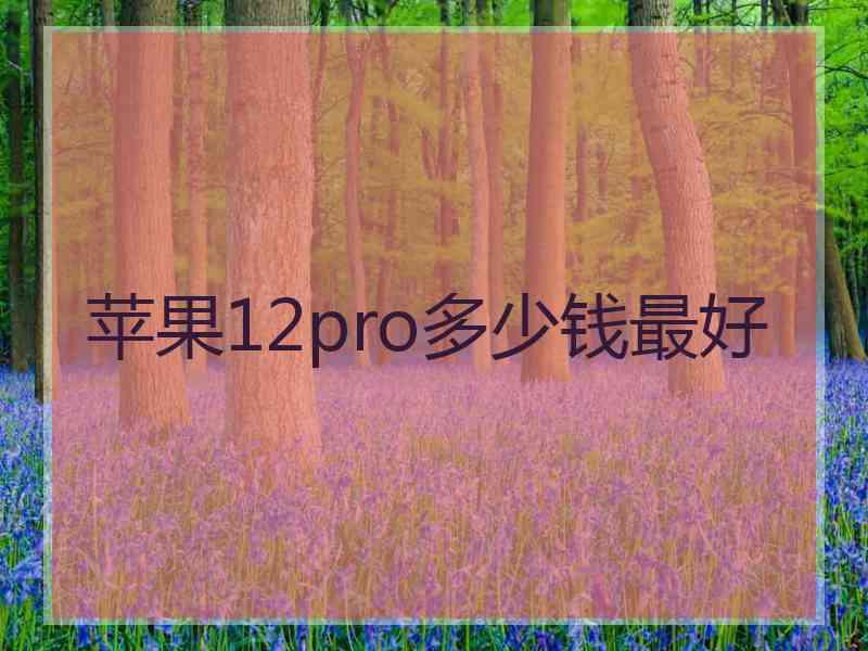 苹果12pro多少钱最好