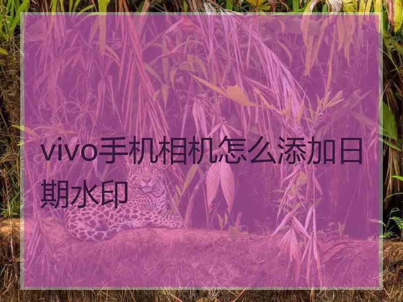 vivo手机相机怎么添加日期水印