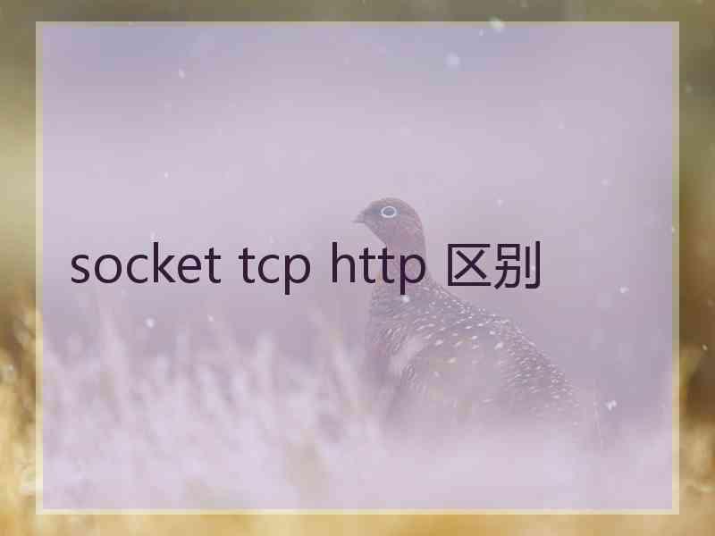 socket tcp http 区别