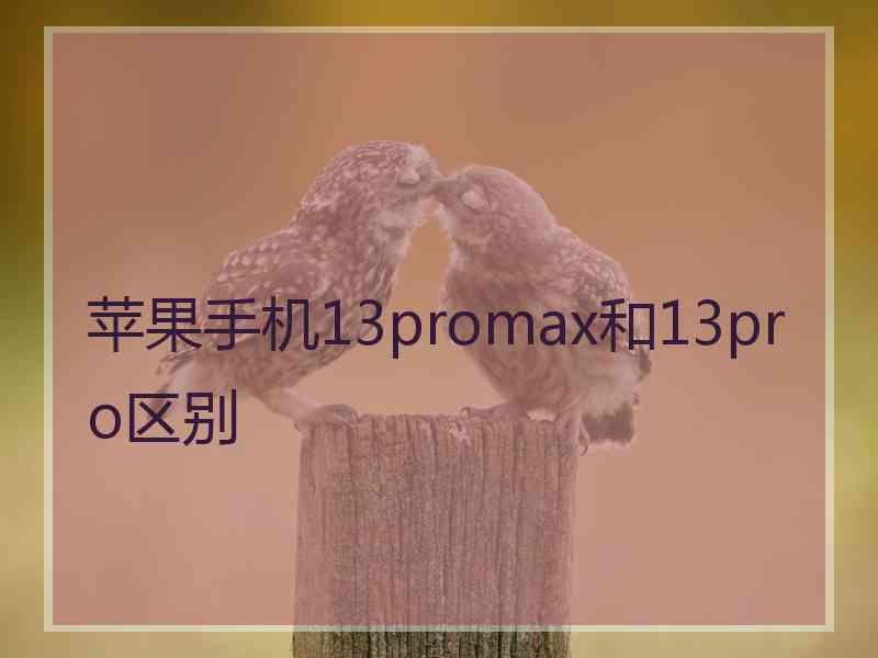 苹果手机13promax和13pro区别