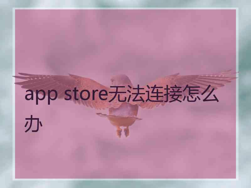 app store无法连接怎么办