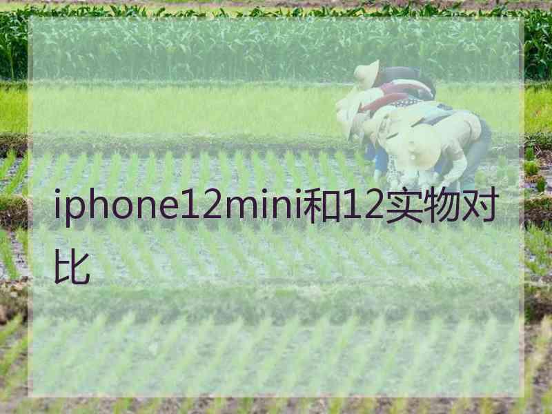 iphone12mini和12实物对比