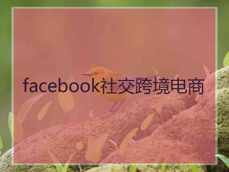 facebook社交跨境电商