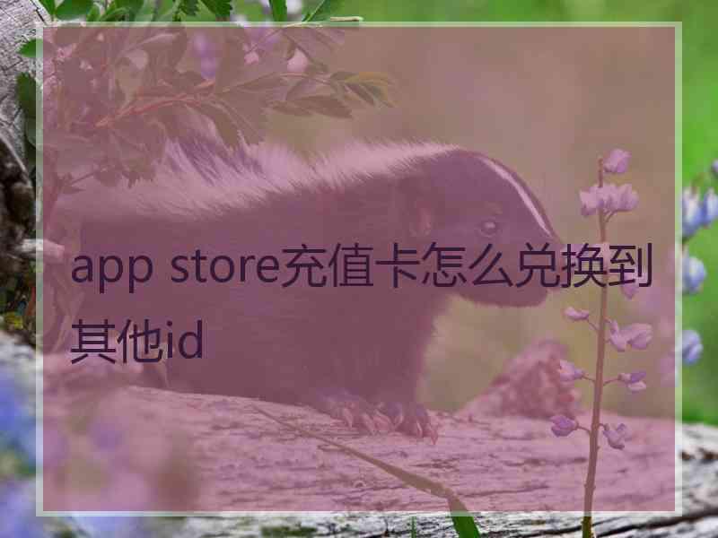 app store充值卡怎么兑换到其他id