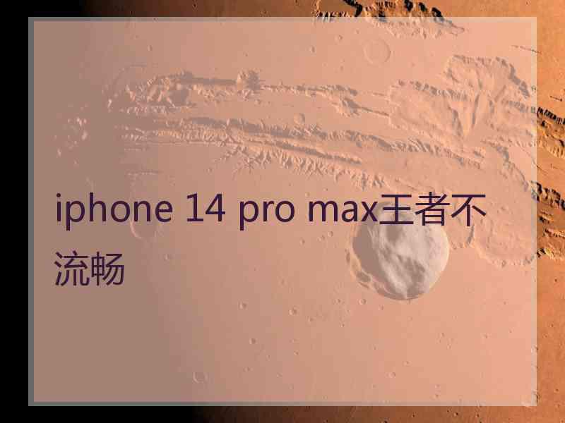 iphone 14 pro max王者不流畅