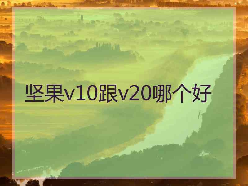 坚果v10跟v20哪个好