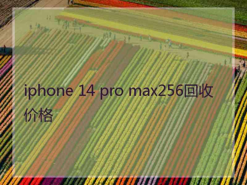 iphone 14 pro max256回收价格